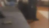 Katil zanlısının geçmişindeki şiddet dolu görüntüler ortaya çıktı