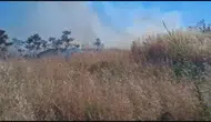 Silivri'de korkutan otluk yangını kontrol altına alındı