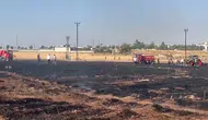 Viranşehir'de bir kıvılcım 60 dönüm buğdayı kül etti