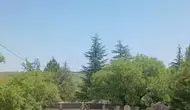 Harput mezarlıklarında sürpriz ziyaretçiler