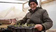Bayburtlu çiftçi ata tohumlarını ücretsiz fide yaparak yaşatıyor