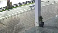Nişanlı çiftin ölümüne yol açan o anlar kamerada