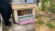 Sinop'ta arılar için 45 hektarlık dev yaşam alanı kuruldu