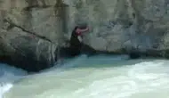 Ceyhan Nehri'nde mahsur kalan vatandaşın son görüntüleri paylaşıldı