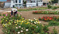Başiskele’nin gül bahçesi sezonu açtı