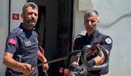 Evin lavabosundan çıkan yılan paniğe neden oldu