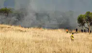Ayvalık Sakarya Mahallesi’nde ormanlık alana yakın yangın korkuttu