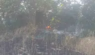 Çanakkale Helvacı köyünde tarla yangını paniği