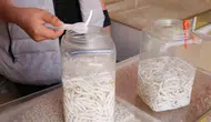Sivas'ın altın değerindeki şifalı sakızı