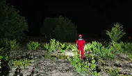 Afyonkarahisar'da yaşlı adam için ormanlık alanda seferberlik başladı
