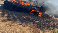 Tarsus’ta hasat telaşı kabusa döndü