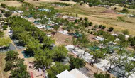 Adıyaman Tut ilçesinde dut bereketi başladı