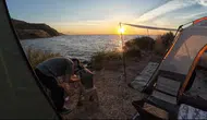Mudanya'da kampa giren çakal kahvaltıyı kaptı