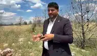 Arabanlılar orman yangınlarına karşı acil yol çağrısı yaptı