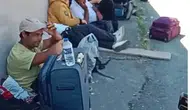 Rize’de İranlı işçilere çalışma vaadiyle tuzak ve şiddet iddiası