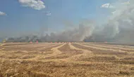 Tekirdağ'da alevler tarlaları ve yaşam alanlarını küle çevirdi