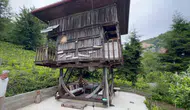 Rize’de 70 yıllık serender öğretmen çiftle yeniden ayağa kalktı