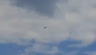 Serik ormanlarında yıldırım kaynaklı yangın söndürüldü