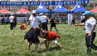 Gaziantep binin üzerinde genç güreşçiyi ağırladı
