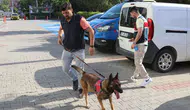 Denizli'de uyuşturucu operasyonu kapsamında 12 avukat gözaltına alındı