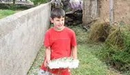 Yozgat'ta dolu vurdu emekler boşa gitti