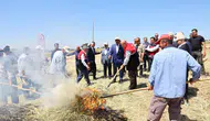 Adıyaman tarlalarında dumanlı hasat dönemi başladı