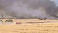 Harran Ovası'nda hasat mevsimi yangınla küle döndü