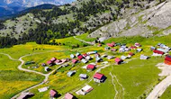 Gümüşhane’nin zirvesinde sarı çiçekli doğa şöleni