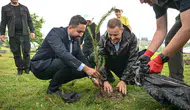 Balıkesir'de yeşil seferberlik başladı