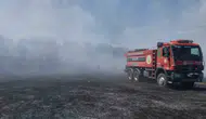 Burhaniye’de zeytinlikleri tehdit eden yangın büyümeden söndürüldü
