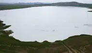 Van'ın gizli kuş cenneti eski ihtişamına kavuştu