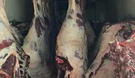 Sakarya yolunda yakalanan 1,8 ton kaçak ete imha kararı