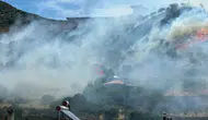 Ayvacık ormanlarında alevler hızla yayılıyor