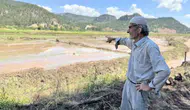 Karabük'te orman tahribatı çeltik tarlalarını sular altında bıraktı