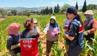 Tarlada çalışan kadınlara şiddete karşı acil destek eğitimi