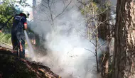 Sakarya Maltepe'de ağaçlık alanda yangın paniği