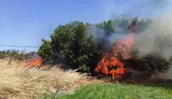 Çanakkale Ezine’de alevler tarım arazisini sardı