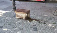 Eskişehir merkezinde arı sürüsü paniği yaşandı