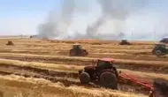 Viranşehir'de anız ateşi çiftçinin birikimini yuttu