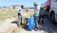Nazilli parklarında bahar temizliği mesaisi başladı