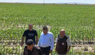 Karapınar çiftçisi dolu felaketinin yaralarını sarmaya çalışıyor