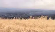Mardin'de hasat zamanı büyük kayıp