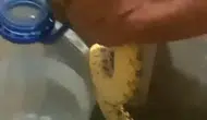 Polatlı’da evlerin arasına kadar giren yılanlar mahalleliyi korkuttu
