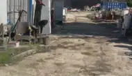 Silivri'de otluk alan yangınları iki farklı noktada hasara yol açtı