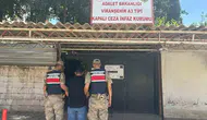 Viranşehir'de aranan hükümlü jandarma operasyonuyla cezaevine gönderildi