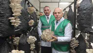 Erzurum kırsalında mantar üretimi dönemi başlıyor