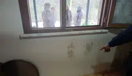 Giresun'da yerleşim yerlerine giren ayılar için vurma kararı çıktı