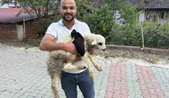Hastaneden ahıra uzanan şefkat eli