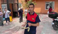 Zonguldak’ta bir sağlık ocağına yılan girdi