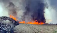 Tekirdağ'da buğday tarlaları alevlere teslim oldu